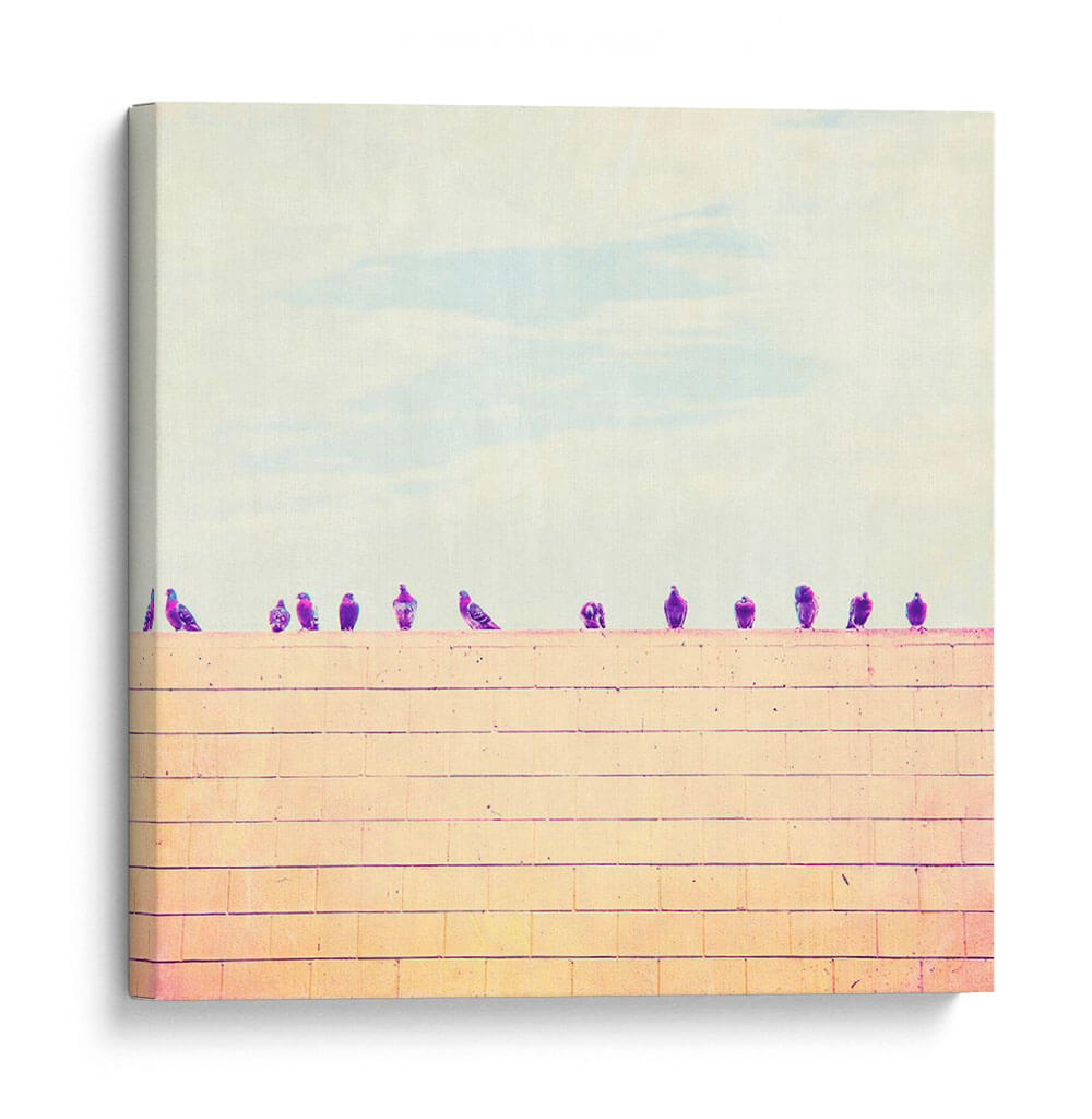 Pájaros En Alambres Iii - Sue Riger | Cuadro decorativo de Canvas Lab