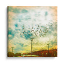 Pájaros En Cables V - Sue Riger | Cuadro decorativo de Canvas Lab