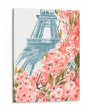 Paris Cherry Blossoms Ii - Jacob Green | Cuadro decorativo de Canvas Lab