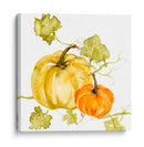 Acuarela Harvest Ii - Jennifer Goldberger | Cuadro decorativo de Canvas Lab