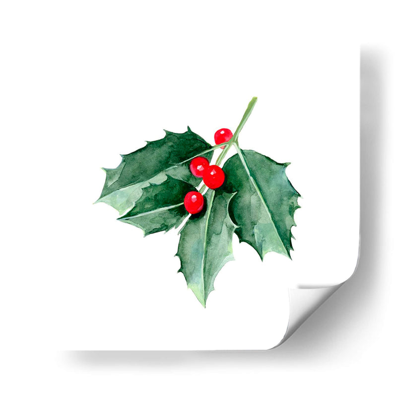 Navidad Holly Ii - Emma Scarvey | Cuadro decorativo de Canvas Lab