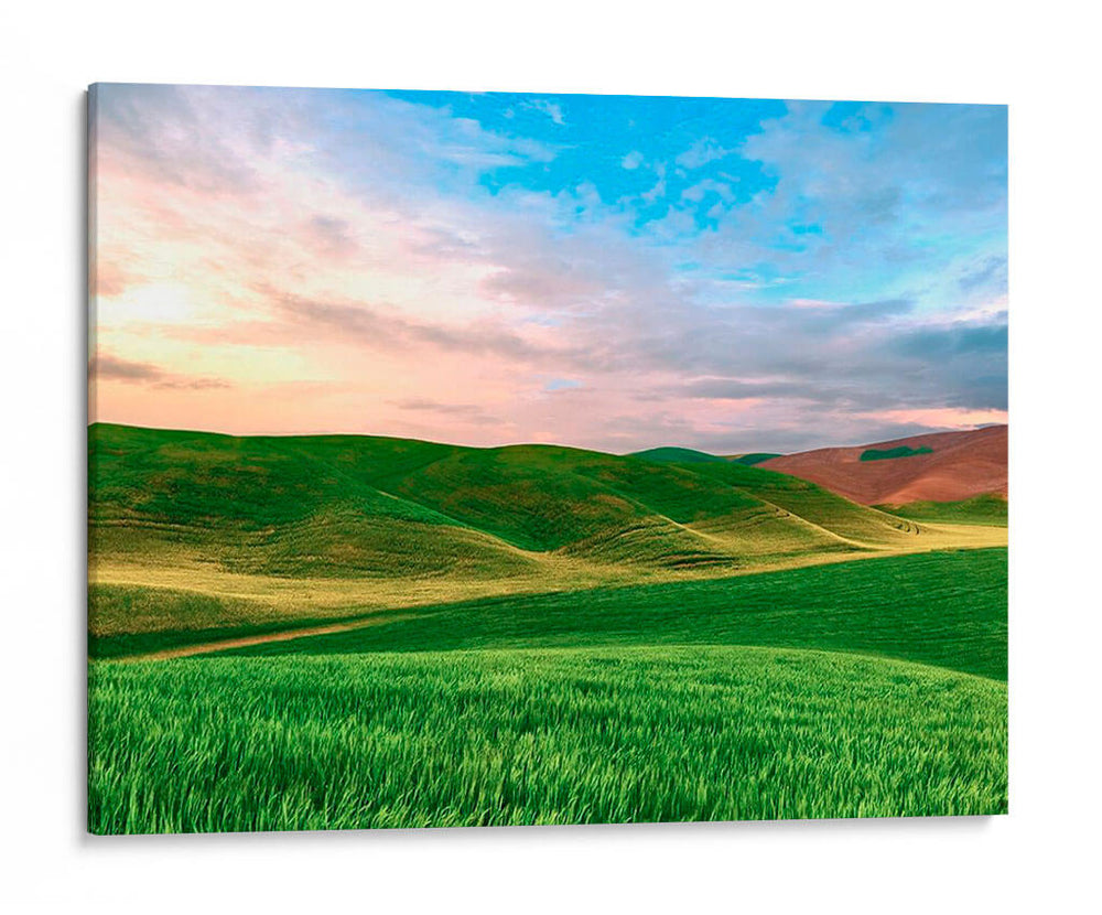 Papá De Campo Foto V - James McLoughlin | Cuadro decorativo de Canvas Lab
