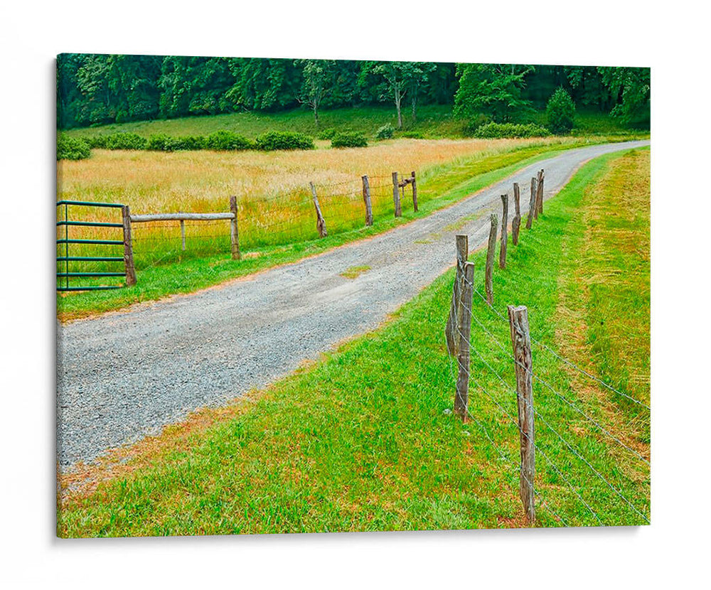 Foto De Camino Rural Iii - James McLoughlin | Cuadro decorativo de Canvas Lab
