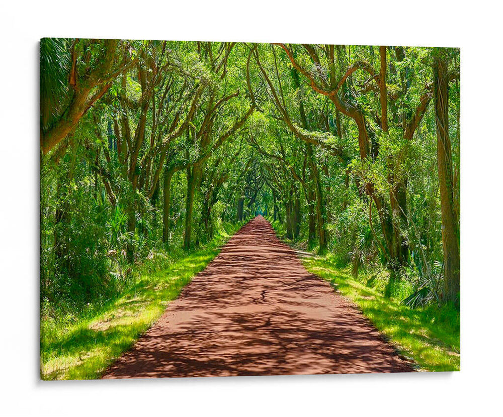 Foto De Camino Rural Iv - James McLoughlin | Cuadro decorativo de Canvas Lab