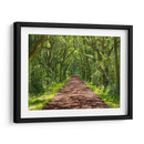 Foto De Camino Rural Iv - James McLoughlin | Cuadro decorativo de Canvas Lab