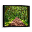 Foto De Camino Rural Iv - James McLoughlin | Cuadro decorativo de Canvas Lab