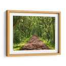 Foto De Camino Rural Iv - James McLoughlin | Cuadro decorativo de Canvas Lab