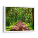 Foto De Camino Rural Iv - James McLoughlin | Cuadro decorativo de Canvas Lab