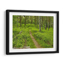 Foto De Camino Rural V - James McLoughlin | Cuadro decorativo de Canvas Lab