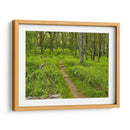 Foto De Camino Rural V - James McLoughlin | Cuadro decorativo de Canvas Lab