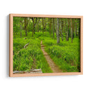 Foto De Camino Rural V - James McLoughlin | Cuadro decorativo de Canvas Lab