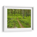 Foto De Camino Rural V - James McLoughlin | Cuadro decorativo de Canvas Lab