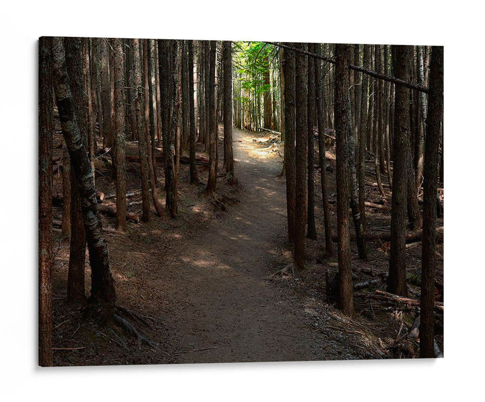 Foto De Camino Rural Vi - James McLoughlin | Cuadro decorativo de Canvas Lab