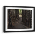 Foto De Camino Rural Vi - James McLoughlin | Cuadro decorativo de Canvas Lab