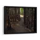 Foto De Camino Rural Vi - James McLoughlin | Cuadro decorativo de Canvas Lab