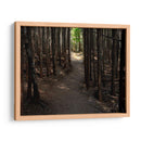 Foto De Camino Rural Vi - James McLoughlin | Cuadro decorativo de Canvas Lab