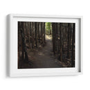 Foto De Camino Rural Vi - James McLoughlin | Cuadro decorativo de Canvas Lab