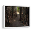 Foto De Camino Rural Vi - James McLoughlin | Cuadro decorativo de Canvas Lab