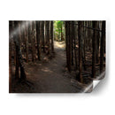 Foto De Camino Rural Vi - James McLoughlin | Cuadro decorativo de Canvas Lab