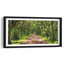 Foto De Camino Rural Vii - James McLoughlin | Cuadro decorativo de Canvas Lab