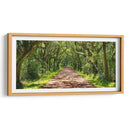 Foto De Camino Rural Vii - James McLoughlin | Cuadro decorativo de Canvas Lab