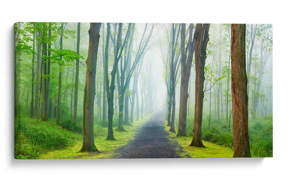 Foto De Camino Rural Viii - James McLoughlin | Cuadro decorativo de Canvas Lab