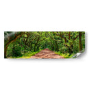 País Carretera Panorama Iv - James McLoughlin | Cuadro decorativo de Canvas Lab