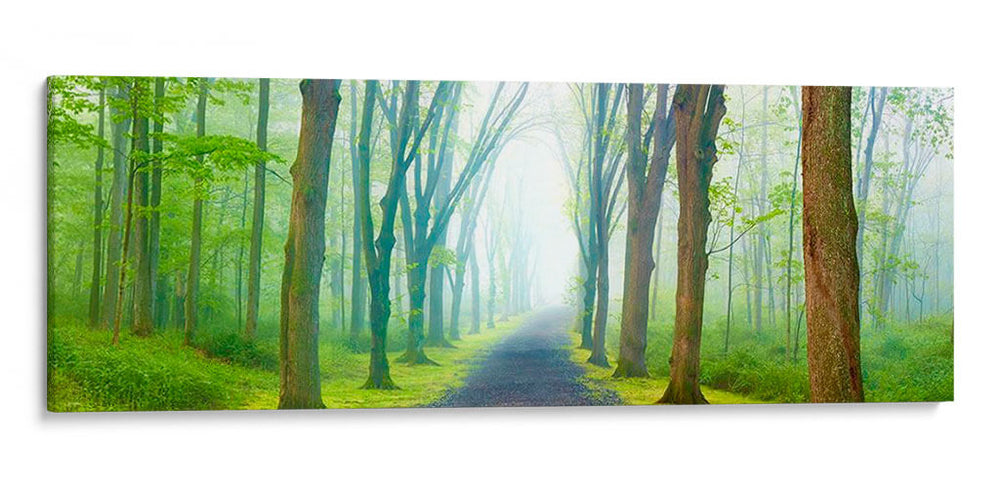 Panorama De Camino Rural V - James McLoughlin | Cuadro decorativo de Canvas Lab
