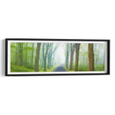 Panorama De Camino Rural V - James McLoughlin | Cuadro decorativo de Canvas Lab