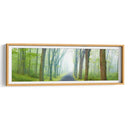 Panorama De Camino Rural V - James McLoughlin | Cuadro decorativo de Canvas Lab