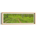 Panorama De Carretera Vi - James McLoughlin | Cuadro decorativo de Canvas Lab