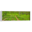 Panorama De Carretera Vi - James McLoughlin | Cuadro decorativo de Canvas Lab