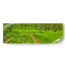 Panorama De Carretera Vi - James McLoughlin | Cuadro decorativo de Canvas Lab