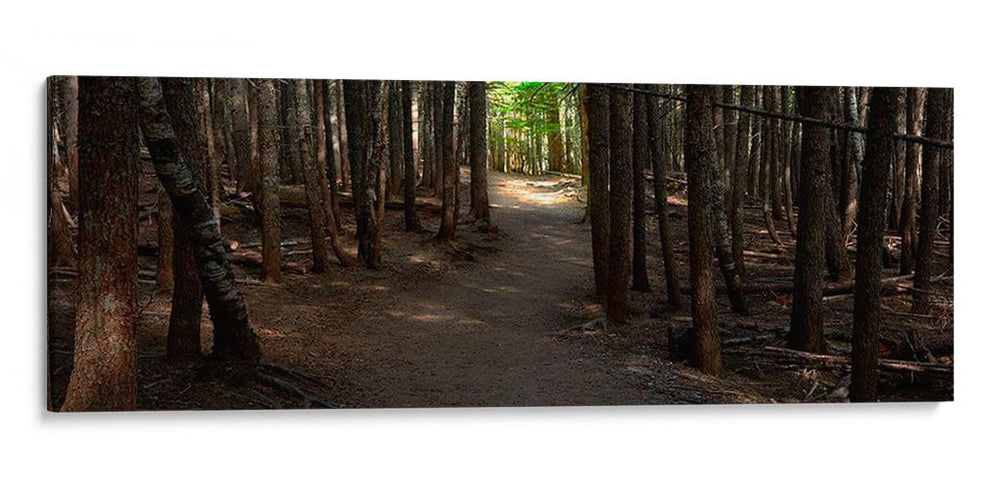 Panorama De Camino Rural Vii - James McLoughlin | Cuadro decorativo de Canvas Lab
