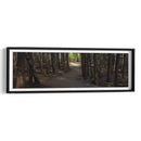 Panorama De Camino Rural Vii - James McLoughlin | Cuadro decorativo de Canvas Lab