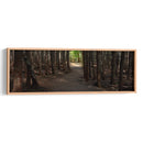 Panorama De Camino Rural Vii - James McLoughlin | Cuadro decorativo de Canvas Lab