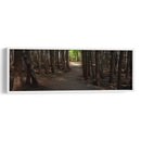 Panorama De Camino Rural Vii - James McLoughlin | Cuadro decorativo de Canvas Lab