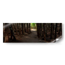 Panorama De Camino Rural Vii - James McLoughlin | Cuadro decorativo de Canvas Lab