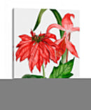 Merry Blossom Ii - Melissa Wang | Cuadro decorativo de Canvas Lab