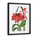 Merry Blossom Ii - Melissa Wang | Cuadro decorativo de Canvas Lab