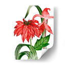 Merry Blossom Ii - Melissa Wang | Cuadro decorativo de Canvas Lab