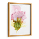 Rosa Floreciente I - Jennifer Goldberger | Cuadro decorativo de Canvas Lab