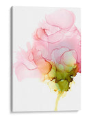 Rosa Floreciente Ii - Jennifer Goldberger | Cuadro decorativo de Canvas Lab