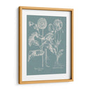 Poppies Besler Ii - Basilius Besler | Cuadro decorativo de Canvas Lab