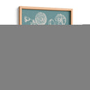 Poppies Besler Ii - Basilius Besler | Cuadro decorativo de Canvas Lab