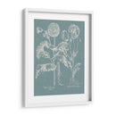 Poppies Besler Ii - Basilius Besler | Cuadro decorativo de Canvas Lab