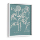 Poppies Besler Ii - Basilius Besler | Cuadro decorativo de Canvas Lab