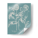 Poppies Besler Ii - Basilius Besler | Cuadro decorativo de Canvas Lab