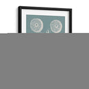 Poppies Besler Iii - Basilius Besler | Cuadro decorativo de Canvas Lab