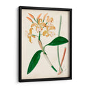 Orchid Pair Ii | Cuadro decorativo de Canvas Lab
